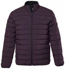 JP1880 828991 Chaqueta acolchada con cuello alto Ciruela