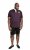 D555 NASH Short Sleeve Rugby Shirt Burgundy - Polos - Polos 2XL-8XL