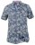 D555 Oswald Short Sleeve Hawaii Shirt - Camisas - Camisas 2XL-10XL