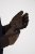 JP1880 811683 Guantes de piel Marrón - Guantes - 