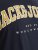 Jack & Jones CALEB VARSITY O-Neck T-Shirt Navy Blazer - Camisetas - Camisetas - 2XL-14XL