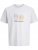 Jack & Jones Calma Crew Neck T-Shirt Gray Dawn - Camisetas - Camisetas - 2XL-14XL