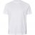 North Latitude T-Shirt 2-Pack White - Camisetas - Camisetas - 2XL-14XL