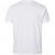 North Latitude T-Shirt 2-Pack White - Camisetas - Camisetas - 2XL-14XL