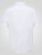 D555 James Camisa Oxford De Manga Corta TALL Blanca - TALL camisas - 
