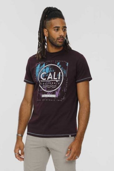 D555 NOVA Cali Surf Printed Crew Neck T-Shirt Plum - Camisetas - Camisetas - 2XL-14XL