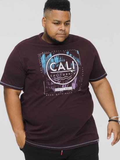 D555 NOVA Cali Surf Printed Crew Neck T-Shirt Plum - Camisetas - Camisetas - 2XL-14XL