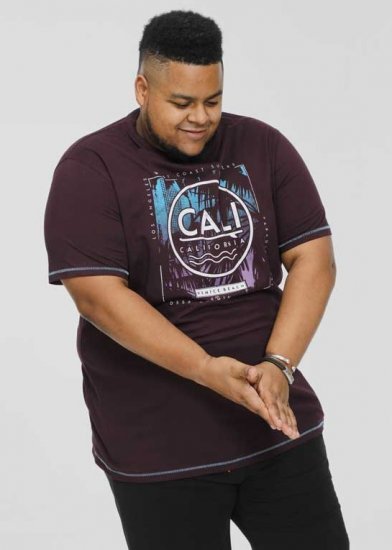 D555 NOVA Cali Surf Printed Crew Neck T-Shirt Plum - Camisetas - Camisetas - 2XL-14XL