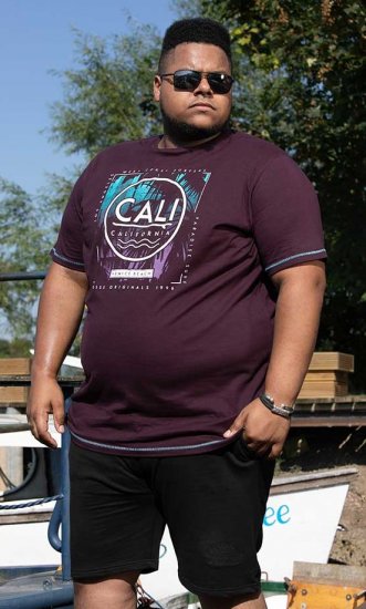 D555 NOVA Cali Surf Printed Crew Neck T-Shirt Plum - Camisetas - Camisetas - 2XL-14XL