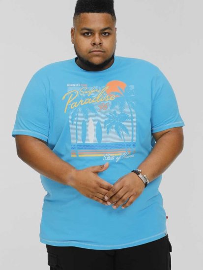 D555 AARON Surfers Paradise Printed Crew Neck T-Shirt Turquoise - Camisetas - Camisetas - 2XL-14XL