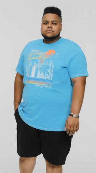 D555 AARON Surfers Paradise Printed Crew Neck T-Shirt Turquoise - Camisetas - Camisetas - 2XL-14XL