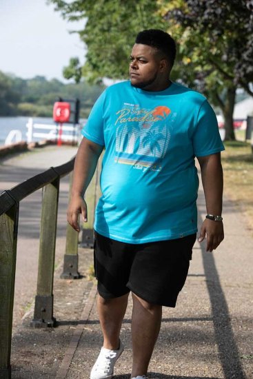 D555 AARON Surfers Paradise Printed Crew Neck T-Shirt Turquoise - Camisetas - Camisetas - 2XL-14XL