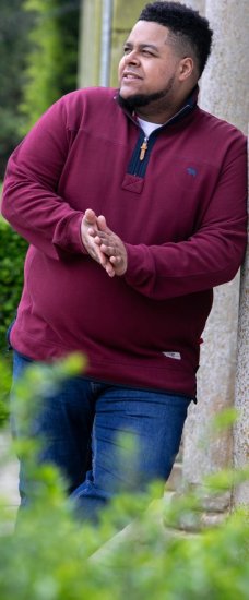 D555 HIRALDO Quarter Neck Pique Fleece Sweatshirt With Chest Embroidery Red - Sudaderas - Sudaderas 2XL-12XL