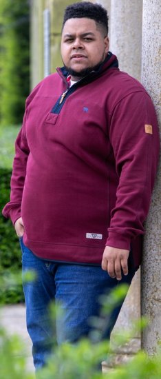 D555 HIRALDO Quarter Neck Pique Fleece Sweatshirt With Chest Embroidery Red - Sudaderas - Sudaderas 2XL-12XL