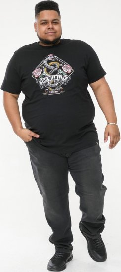 D555 MALCOM Snake And Roses Printed Crew Neck T-Shirt Black - Camisetas - Camisetas - 2XL-14XL
