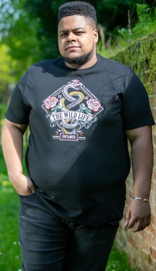 D555 MALCOM Snake And Roses Printed Crew Neck T-Shirt Black - Camisetas - Camisetas - 2XL-14XL