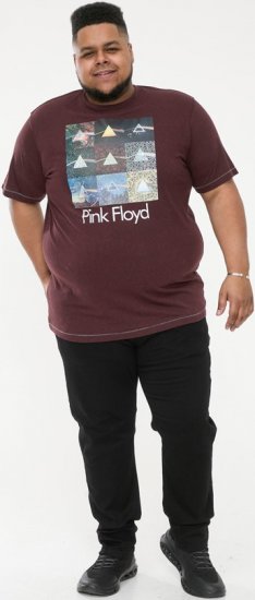 D555 DIVISION Official Pink Floyd Printed T-Shirt Burgundy - Camisetas - Camisetas - 2XL-14XL