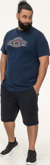 D555 Cheltenham Record With Reflection Printed T-shirt French Navy - Camisetas - Camisetas - 2XL-14XL