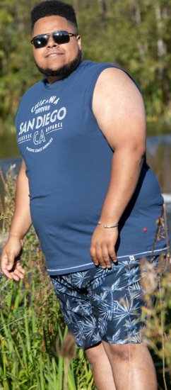D555 Havant San Diego Printed Sleeveless T-Shirt French Navy - Camisetas - Camisetas - 2XL-14XL