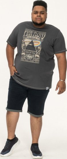D555 HANLEY Official Pink Floyd Crew Neck T-Shirt Dark Grey TALL SIZES - ROPA DE HOMBRE MT-6XLT - Tamaños de talle alto