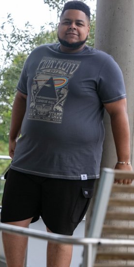 D555 HANLEY Official Pink Floyd Crew Neck T-Shirt Dark Grey TALL SIZES - ROPA DE HOMBRE MT-6XLT - Tamaños de talle alto