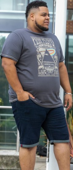 D555 HANLEY Official Pink Floyd Crew Neck T-Shirt Dark Grey TALL SIZES - ROPA DE HOMBRE MT-6XLT - Tamaños de talle alto