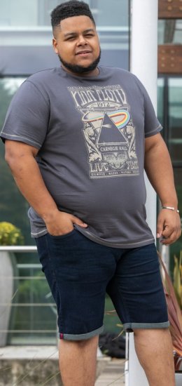 D555 HANLEY Official Pink Floyd Crew Neck T-Shirt Dark Grey TALL SIZES - ROPA DE HOMBRE MT-6XLT - Tamaños de talle alto