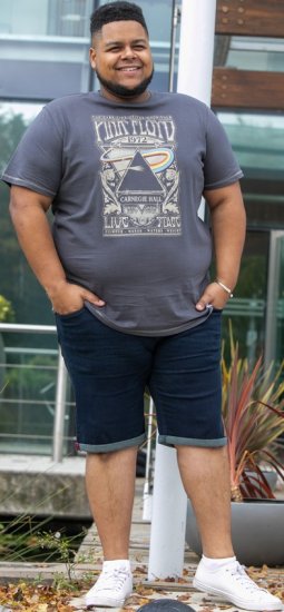 D555 HANLEY Official Pink Floyd Crew Neck T-Shirt Dark Grey TALL SIZES - ROPA DE HOMBRE MT-6XLT - Tamaños de talle alto