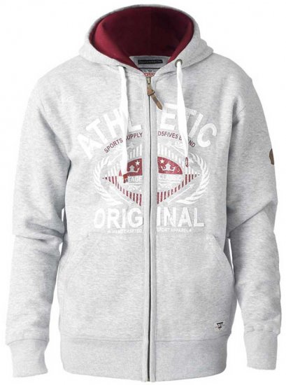 D555 Gabriel Athletic Zip Hoodie Grey - Sudaderas - Sudaderas 2XL-12XL