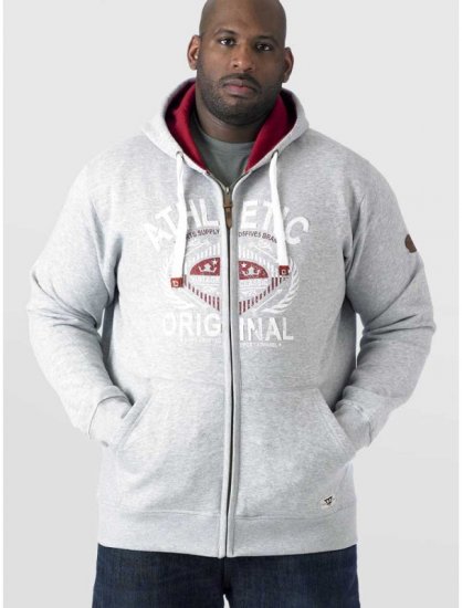 D555 Gabriel Athletic Zip Hoodie Grey - Sudaderas - Sudaderas 2XL-12XL