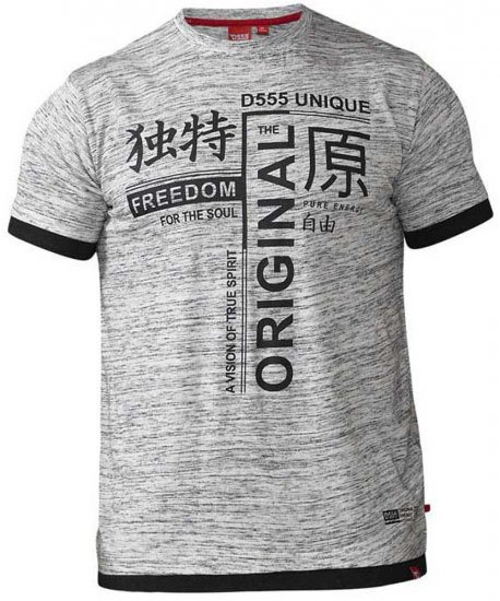 D555 Harold T-shirt Grey - Camisetas - Camisetas - 2XL-14XL