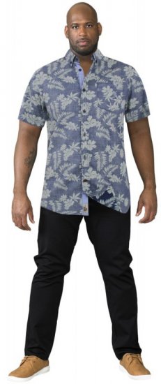 D555 Oswald Short Sleeve Hawaii Shirt - Camisas - Camisas 2XL-10XL