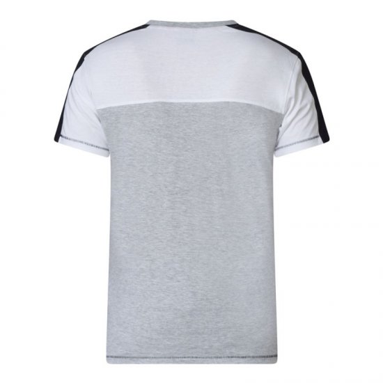 D555 Alvester T-shirt Grey - Camisetas - Camisetas - 2XL-14XL
