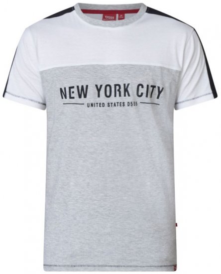 D555 Alvester T-shirt Grey - Camisetas - Camisetas - 2XL-14XL