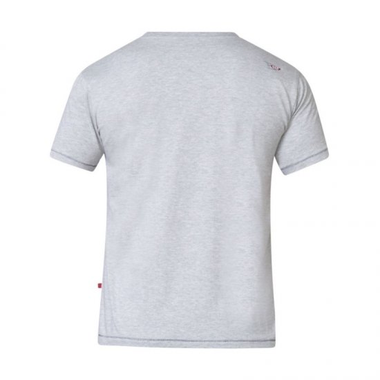 D555 Phillip T-shirt Grey - Camisetas - Camisetas - 2XL-14XL