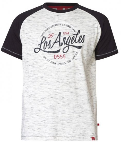 D555 Judson T-shirt Grey - Camisetas - Camisetas - 2XL-14XL