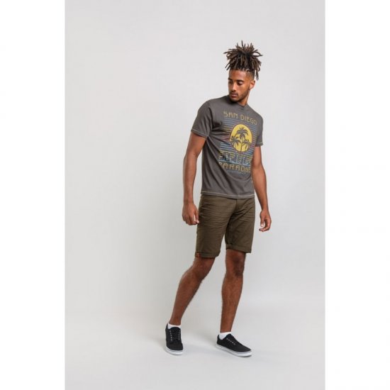 D555 Stanley T-shirt Khaki - Camisetas - Camisetas - 2XL-14XL