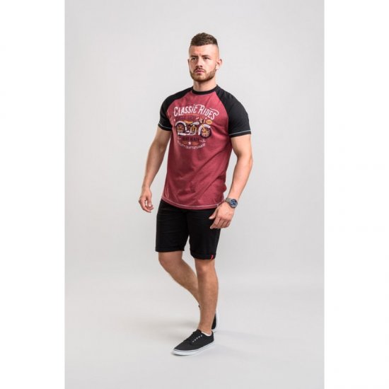D555 Evans T-shirt Burgundy - Camisetas - Camisetas - 2XL-14XL