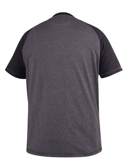 D555 Lismore Raglan Sleeve San Diego Printed T-Shirt Charcoal - Camisetas - Camisetas - 2XL-14XL