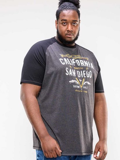 D555 Lismore Raglan Sleeve San Diego Printed T-Shirt Charcoal - Camisetas - Camisetas - 2XL-14XL
