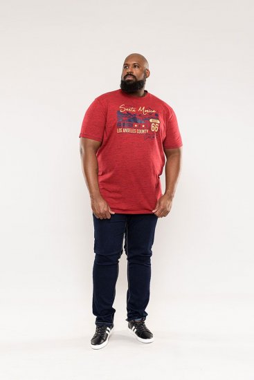 D555 Brisbane Santa Monica Route 66 Printed T-Shirt Red - Camisetas - Camisetas - 2XL-14XL