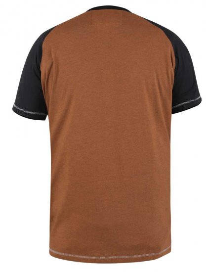 D555 Charmouth Raglan Sleeve Printed T-Shirt - Camisetas - Camisetas - 2XL-14XL