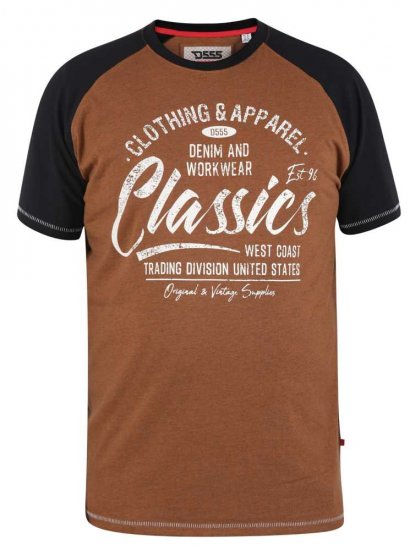 D555 Charmouth Raglan Sleeve Printed T-Shirt - Camisetas - Camisetas - 2XL-14XL