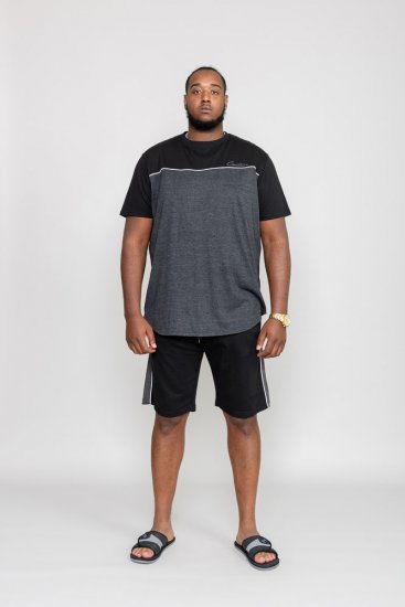 D555 NEWBURY T-Shirt - Camisetas - Camisetas - 2XL-14XL