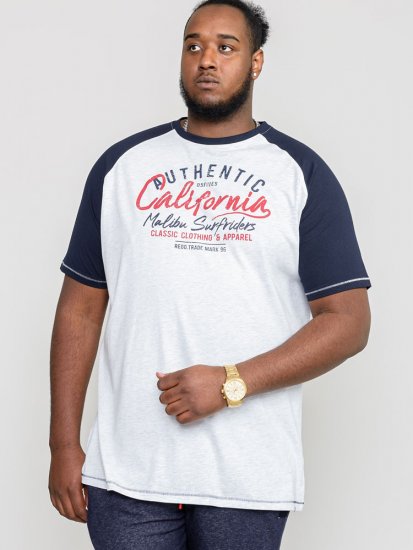 D555 SPARROW Printed T-Shirt - Camisetas - Camisetas - 2XL-14XL
