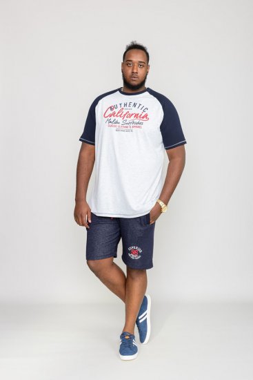 D555 SPARROW Printed T-Shirt - Camisetas - Camisetas - 2XL-14XL