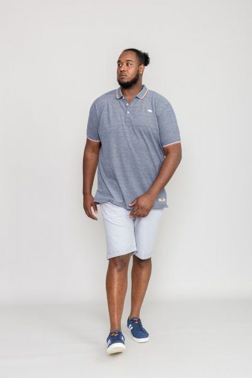 D555 WILCOT Polo Shirt - Polos - Polos 2XL-8XL