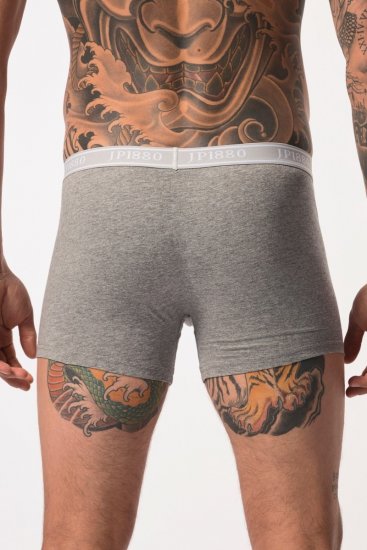 JP1880 Boxershorts Flexnamic OEKO-TEX Mid 2-Pack Grey/Off-White - Ropa interior - Ropa interior 2XL-8XL