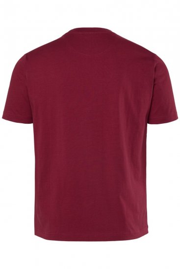Men+ 219 Camiseta Palmeras Marrón cobre - Camisetas - Camisetas - 2XL-14XL