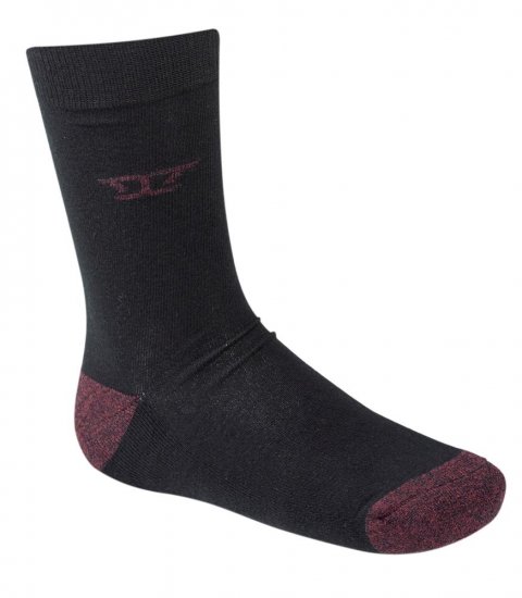 D555 Eden Cotton Rich Cushioned Sole Socks 2-Pack - Ropa interior - Ropa interior 2XL-8XL